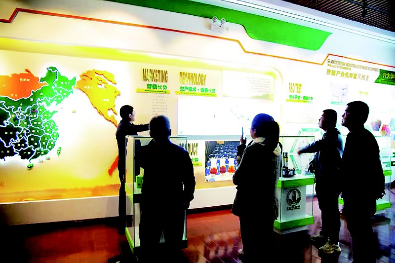 1668555832823004279.jpg cb09bb16c_4.jpg