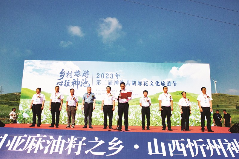 cb24b811c_1.jpg