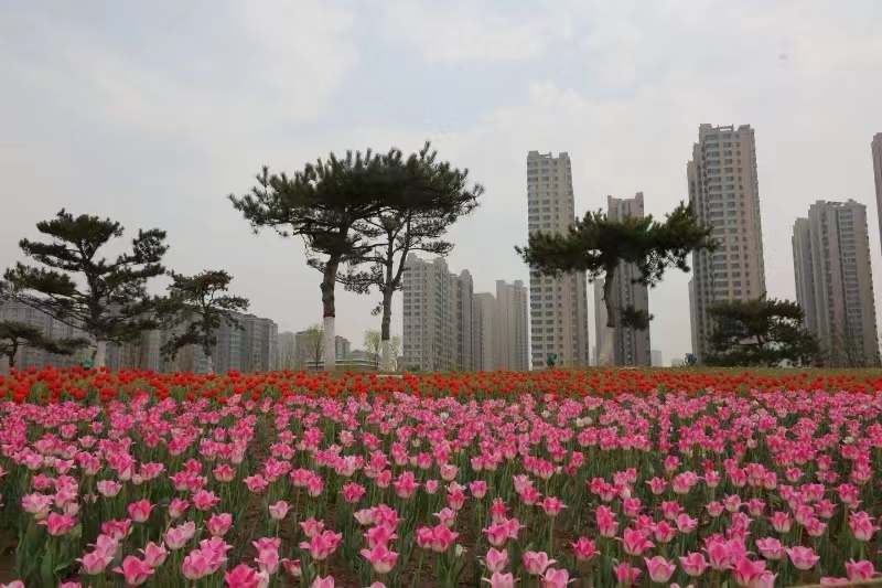 1712812253484060304.jpg 微信图片_20240411112411.jpg