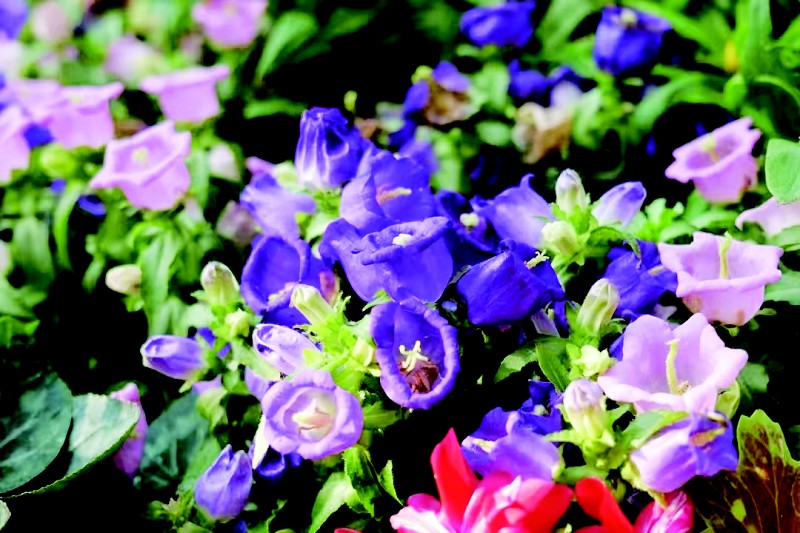 1739193726752086415.jpg cb09b210c_3.jpg