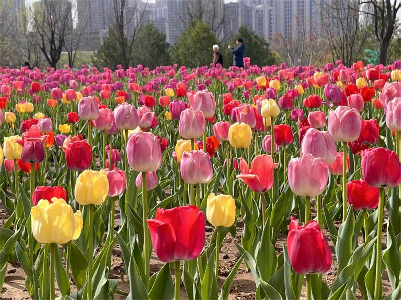 微信图片_20250415151240.jpg