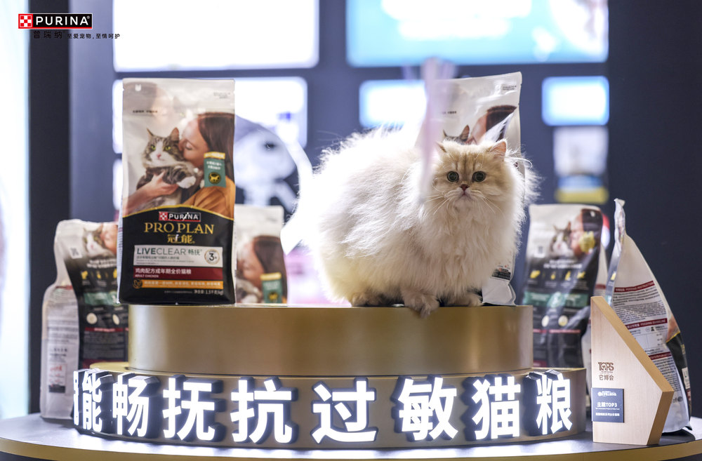 猫的照片上写着字AI 生成的内容可能不正确。