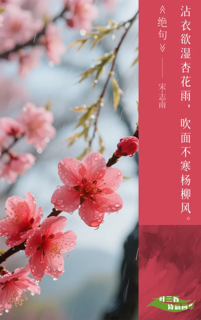 配图2