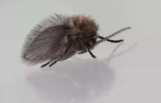 微信图片_20250619220841.jpg