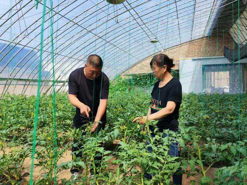 1750749744174049055.jpg 微信图片_20250624152344.jpg