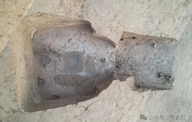 1751519471101008167.jpg 1.jpg