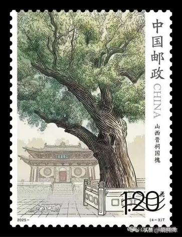 图片5.png