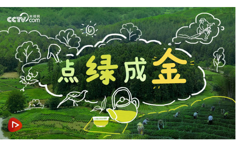 wechat_2025-08-16_164822_532.png