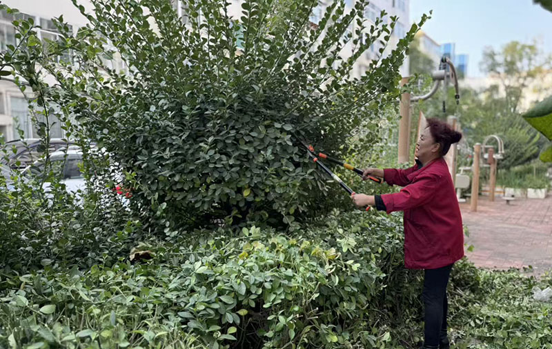 1761811614971047762.jpg 1.jpg