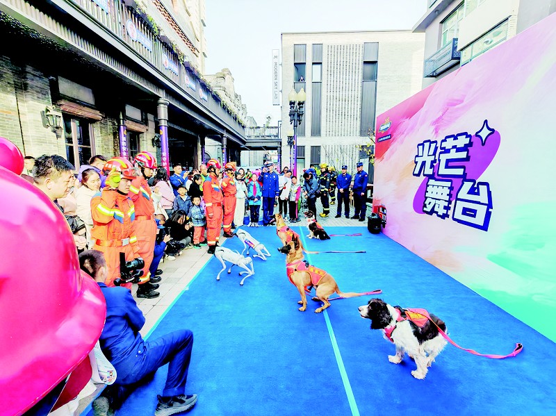 1762738687828024218.jpg 6aa8b0599647b97dcc9bcd5cb63ef22b_cb01bb10c_4.jpg