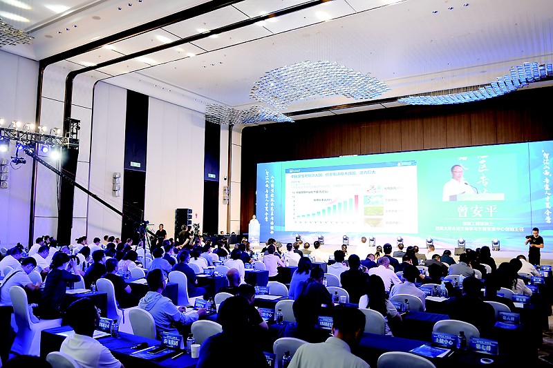 1763690447702061398.jpg cb10bb21c_3.jpg