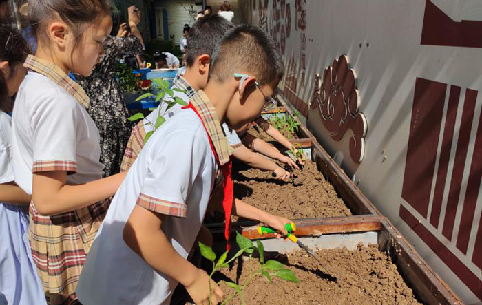 1764571064420069692.jpg 4.jpg