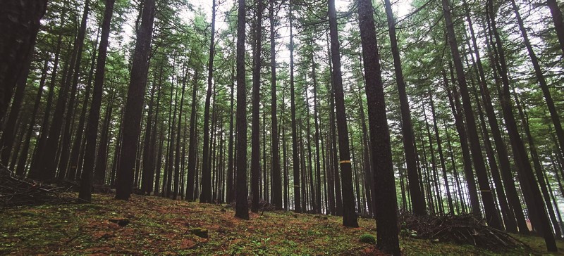 1764898169155045729.jpg cb08bc05c_6.jpg