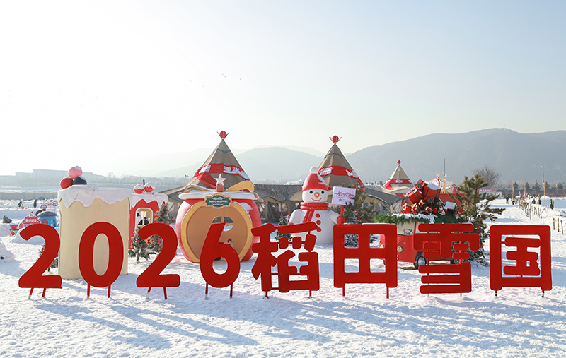 1766133575250019079.jpg 3.jpg