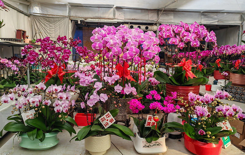 1767572499632062482.jpg 1.jpg