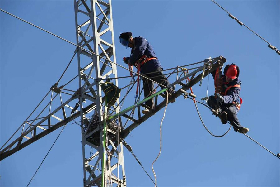 1768480904957064989.jpg 微信图片_20260114192638_33_143.jpg