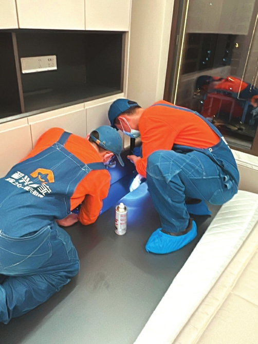 1770602689550063981.jpg d5bc4592cf3f3214138ab6a0f06f3c15_82318abf958fd3eab58cb2402ae3d493.jpg