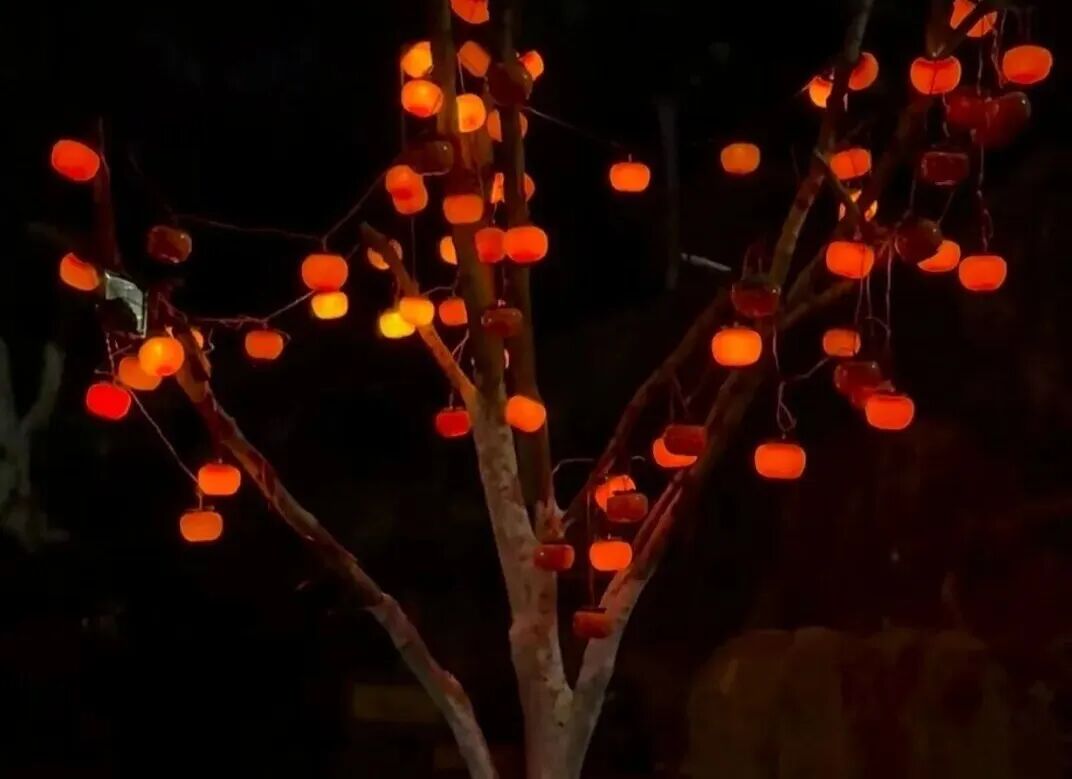 1771673893008069438.jpg 640 (8).jpg