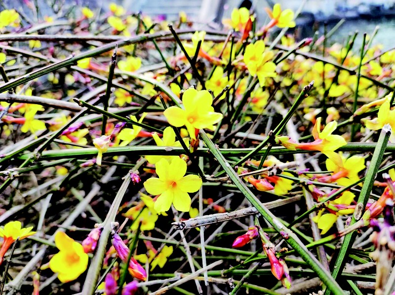 1773318011268076109.jpg 02ba90ce4b2ccf411e580dc54f9f966b_cb01b309c_4.jpg