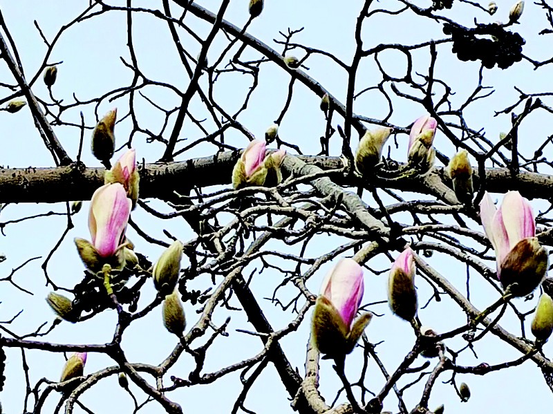 1773318025659077048.jpg b206a42be1d7879d2ca9d0ca5cb3669d_cb01b309c_5.jpg