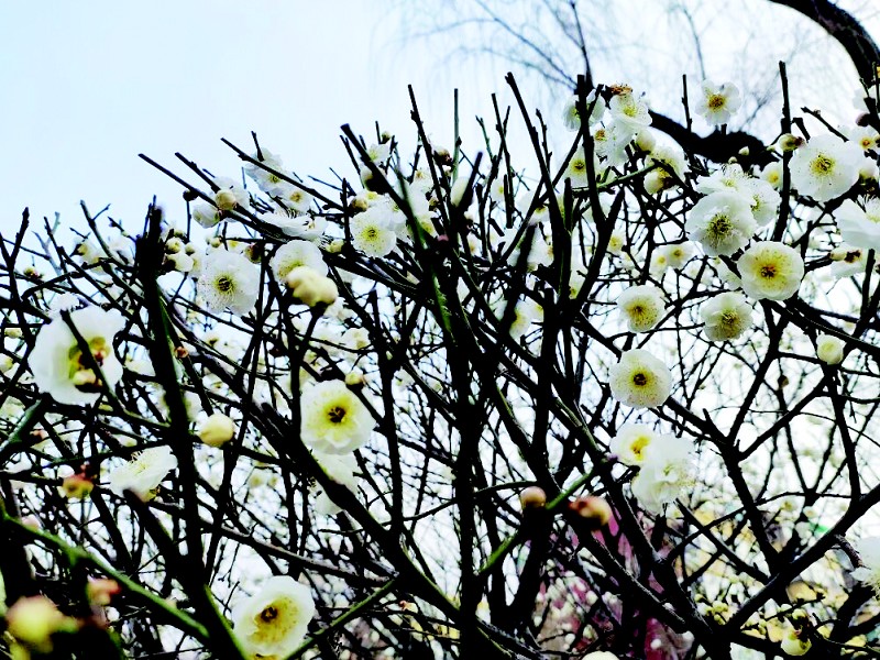 1773318037753033598.jpg a6685bc275c6ce1308e0e9eb760aeb85_cb01b309c_6.jpg