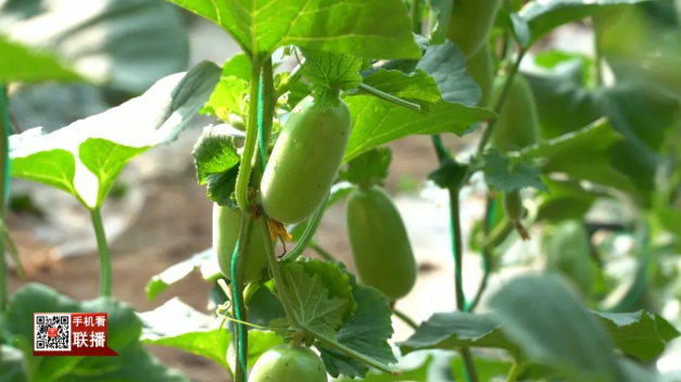 1773564993438006366.png image.png