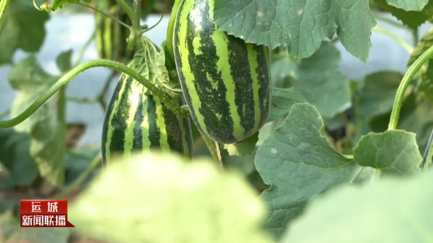 1773565008532066643.png image.png