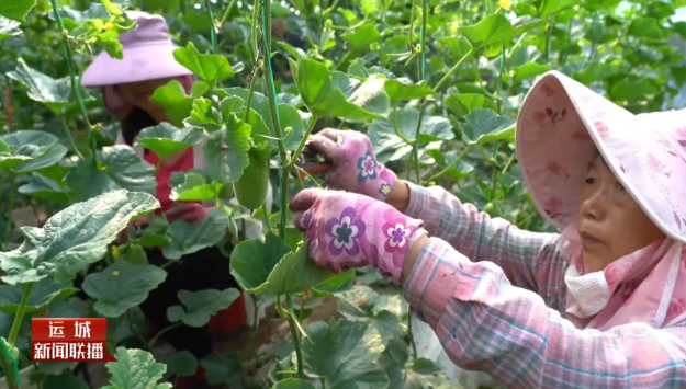 1773565024985017572.png image.png