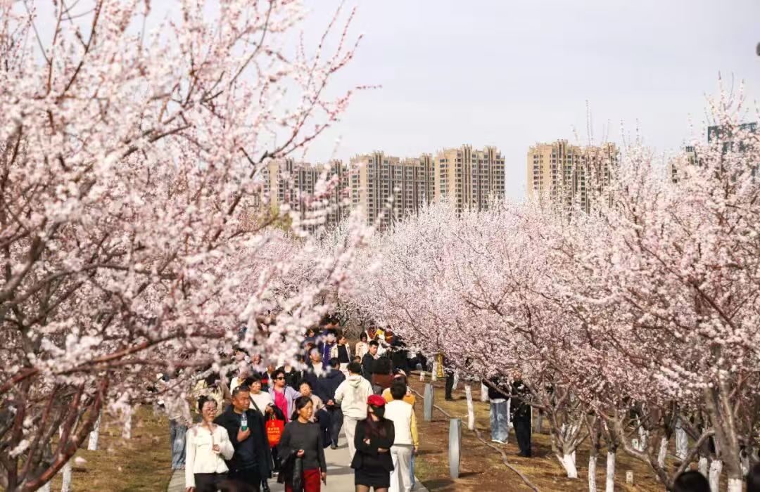 1774500734959086875.jpg 微信图片_20260326113056_3124_159.jpg