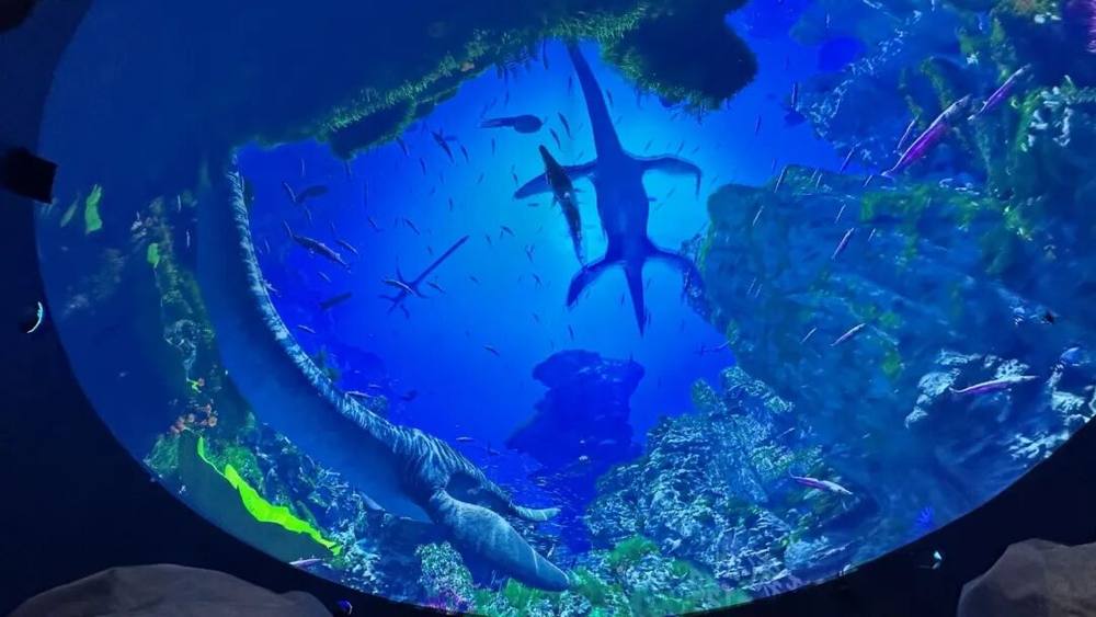 1774862204758010424.jpeg 1774495213147.jpeg