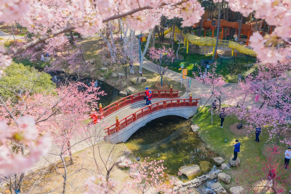 1775783592946065385.jpg 20260409172522057.jpg