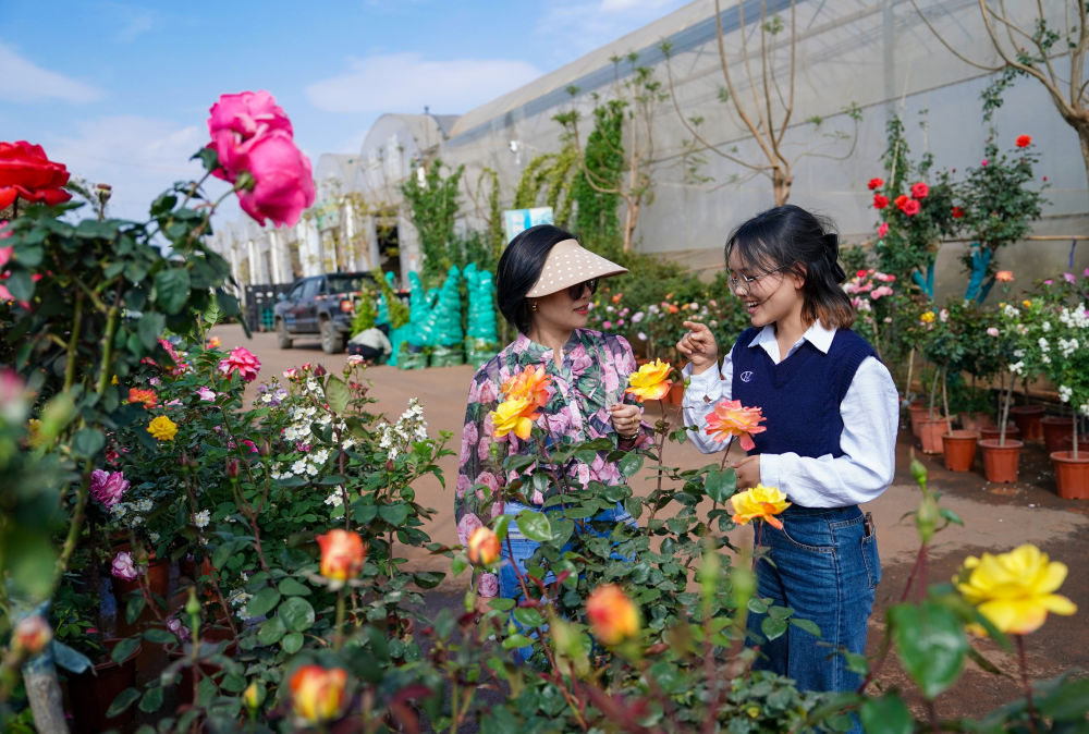 quality,Q_80 (13).jpg