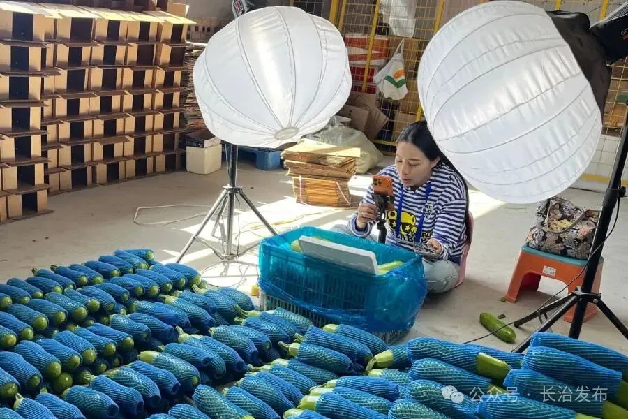 640_wx_fmt=jpeg&from=appmsg&watermark=1&tp=webp&wxfrom=5&wx_lazy=1_看图王.web.jpg
