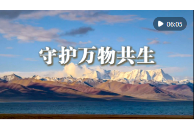 1779454359529097648.png ScreenShot_2026-05-22_205202_919.png