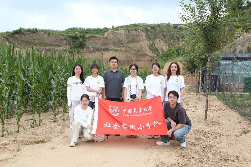 1785414083621086511.png 图片 4.png