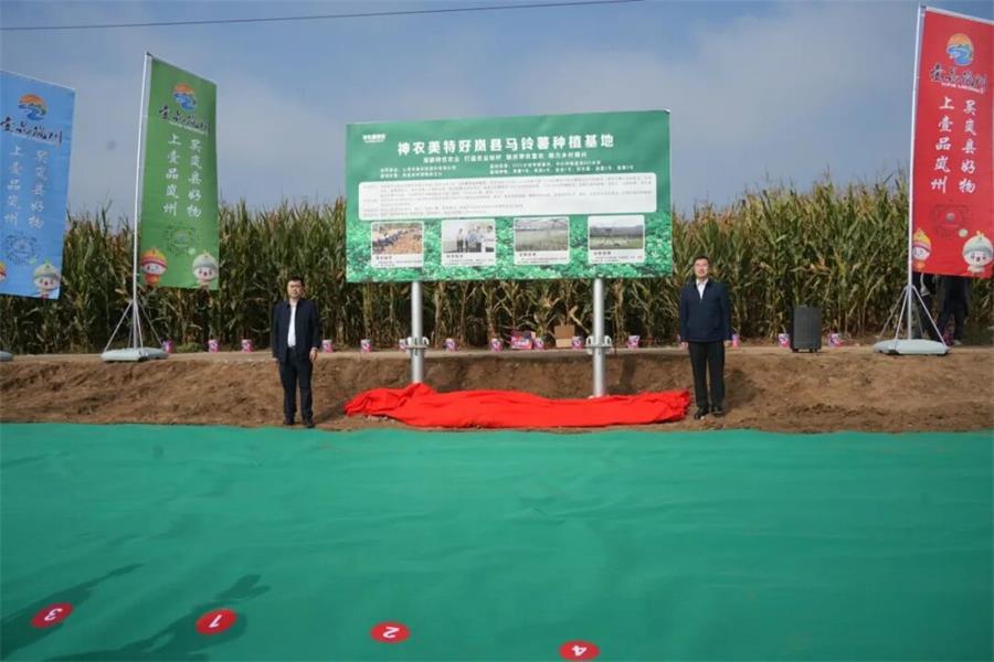 1790259314443019530.jpg 640 (3)_看图王.jpg